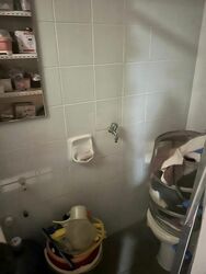 Edelweiss Park Condominium (D17), Condominium #484691471